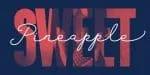 Sansterdam Font