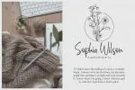 Santhay Modern Script Font