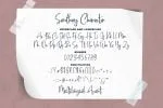 Santhay Modern Script Font