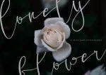 Santoy - Hand Lettering Font
