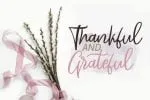 Sarmilla Script Font