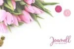 Sarmilla Script Font