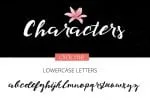 Saser Script Font