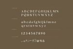 Sasha Marceline Serif Font