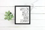 Sassafras Font