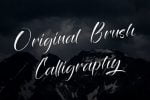 Savage Brush Font