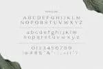 Savoire Font