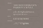 Saxvon Serif Display Font
