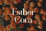Saxvon Serif Display Font