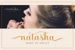 Saythis Script Upright Font