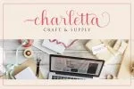 Saythis Script Upright Font