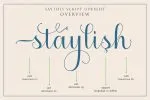 Saythis Script Upright Font