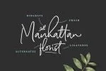 Scarlette Script Font