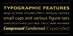 Schnebel Sans ME Font Family