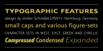 Schnebel Sans Pro Font Family