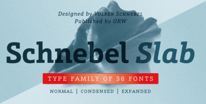 Schnebel Slab Pro Font Family