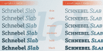 Schnebel Slab Pro Font Family