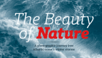 Schnebel Slab Pro Font Family