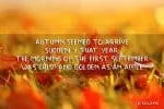 Scrap Brush Font
