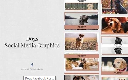 Dogs Facebook Posts
