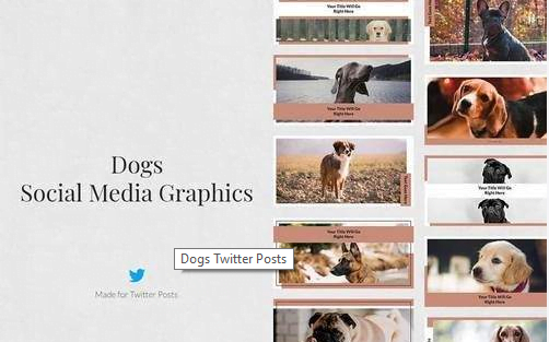 Dogs Twitter Posts