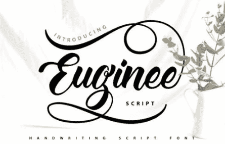 Euginee | Handwriting Script Font