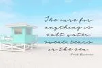 Sea Breeze Signature Script