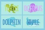 Sea Salt Font