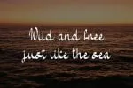 Sea Water Font