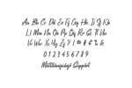 Seattles Font