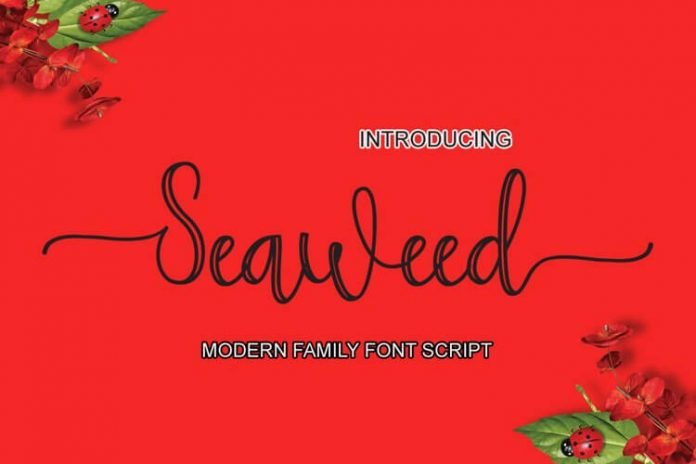 Seaweed Font