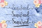 Seaweed Font