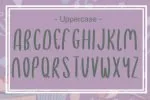 Sebastian Font
