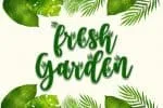 Secret Nature Font