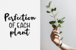 Secret Room Duo Font
