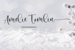 Secret Winter font