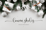 Secret Winter font