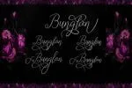 Segitha Script Font