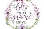 Seilla Script Font