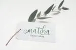 Sekut Font