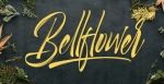 Selfakia Font