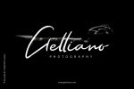 Selliana Font