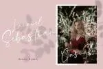 Sellviny - Handwritten Font
