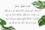 Sellyamor Script Font