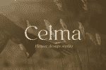 Selna Font