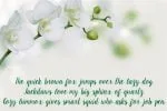 Selorejo Font
