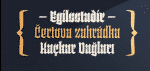 Selva Family 4 Styles Font