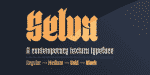 Selva Family 4 Styles Font