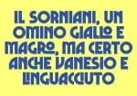 Senilita - Retro Sans Serif Display Font
