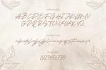 Senja Font